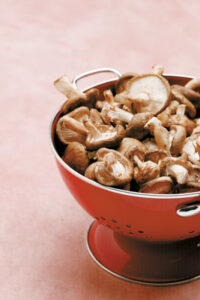The Gourmet Healing Power of Medicinal Mushrooms Image